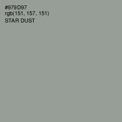 #979D97 - Star Dust Color Image
